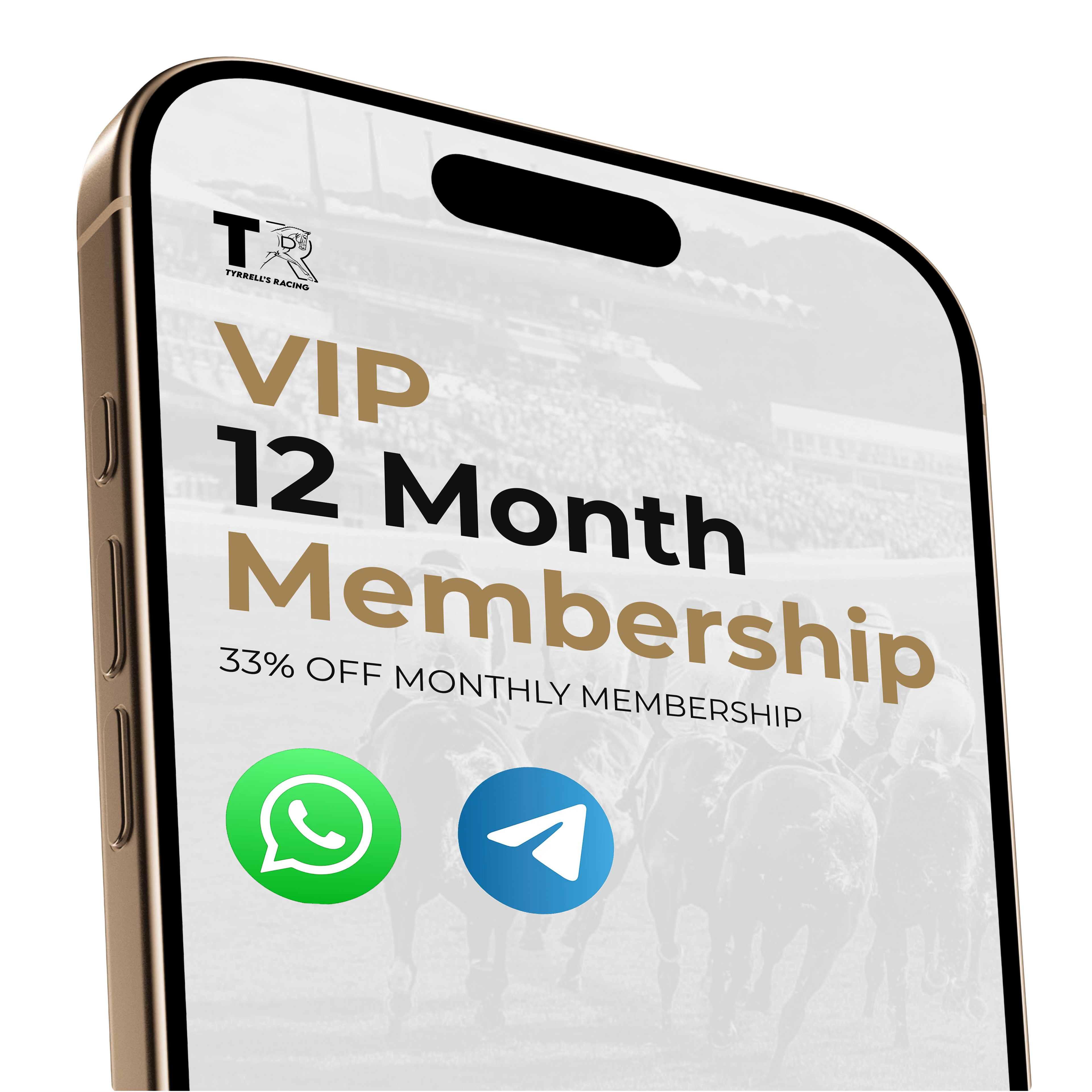 VIP Membership – 12 Months (Save 33%)